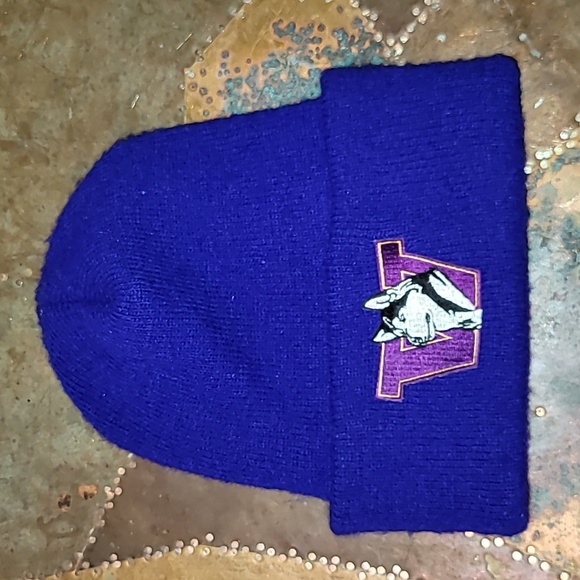 Vintage. Made in USA. Schuessler Mills. University of Washington. Beannie - Picture 1 of 9